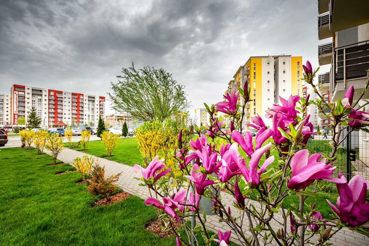 Belle View Apartment Braşov Esterno foto